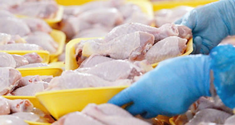  Tavuk Etine Zam Geldi, Bakanlık İhracatı Durdurdu